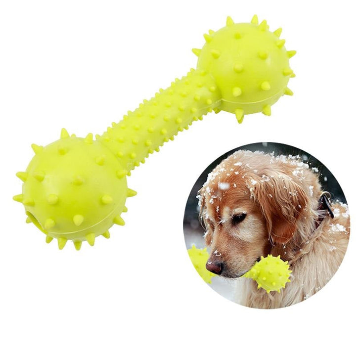 Dog Chew Toy