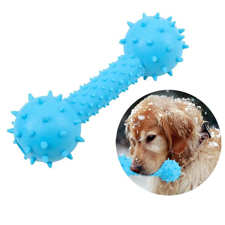 Dog Chew Toy