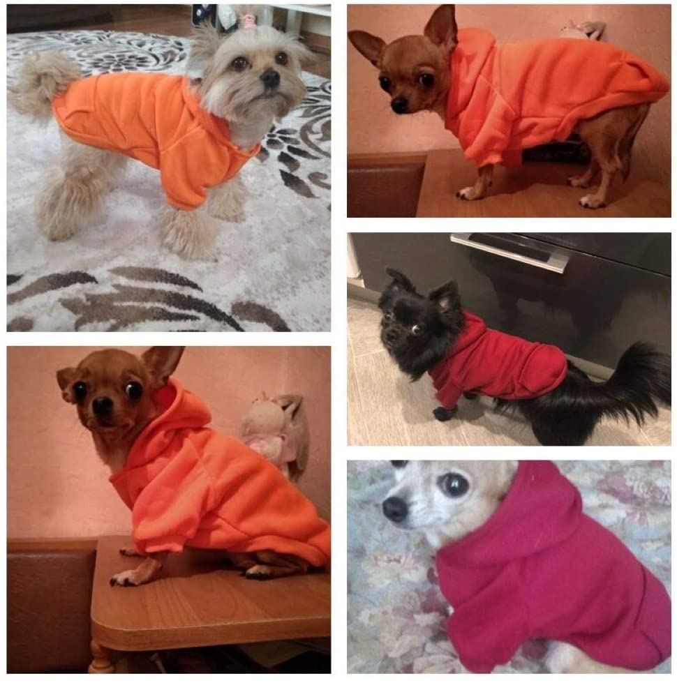 Winter Dog Hoodies