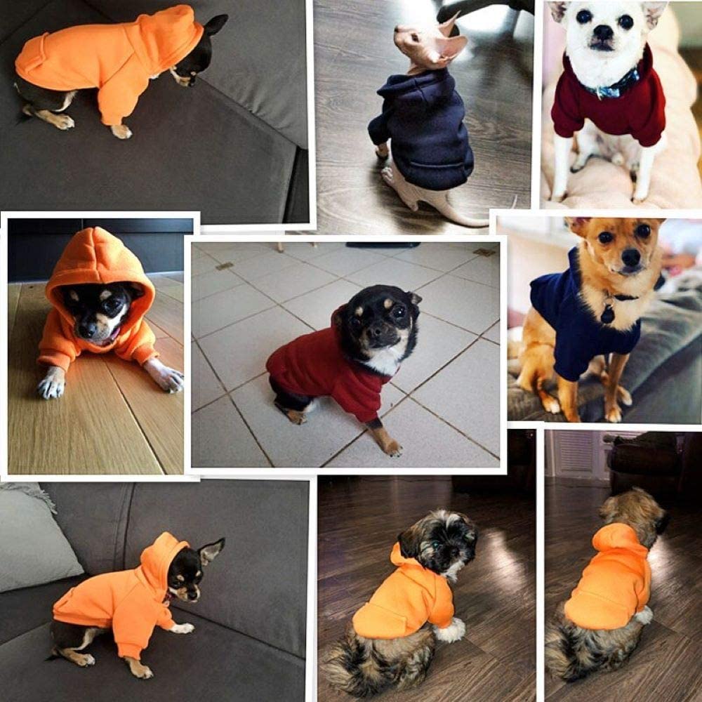 Winter Dog Hoodies