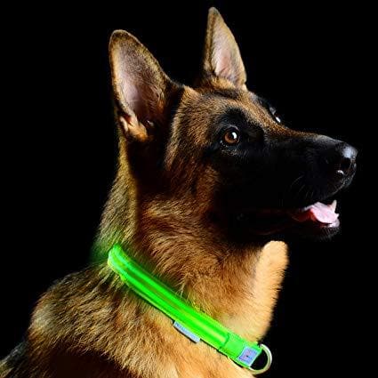 Glow Pet Collar