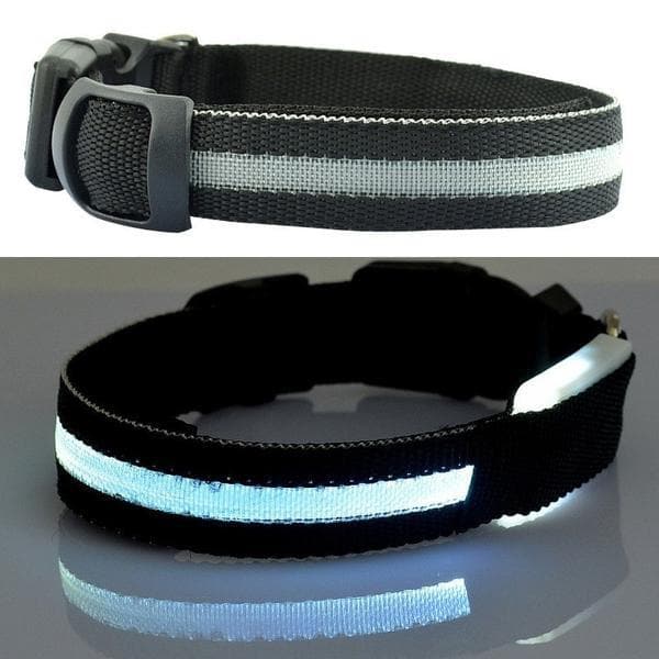 Glow Pet Collar