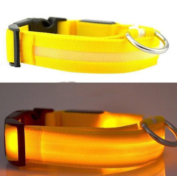 Glow Pet Collar