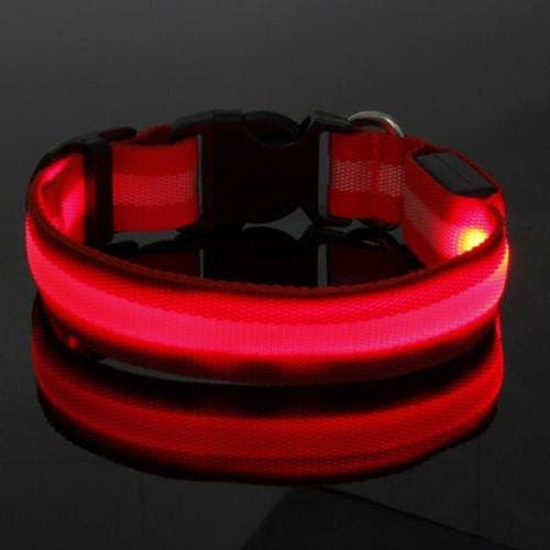 Glow Pet Collar