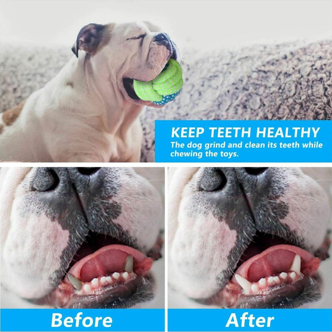 7 Pack Dog ToothBrush Toys For Small Puppy