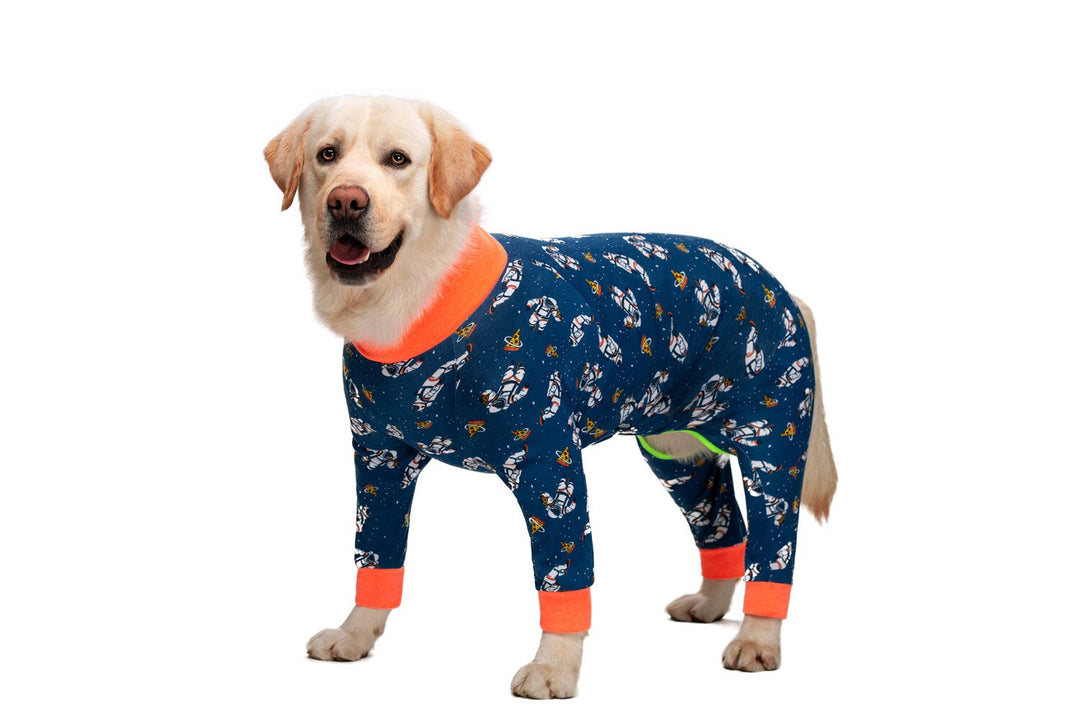 Dog Printed Pajamas