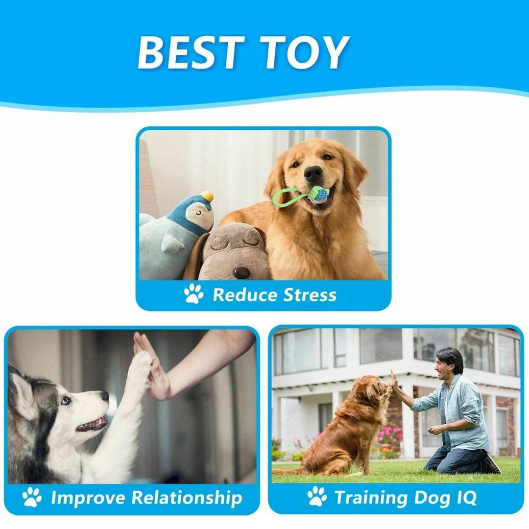 7 Pack Dog ToothBrush Toys For Small Puppy