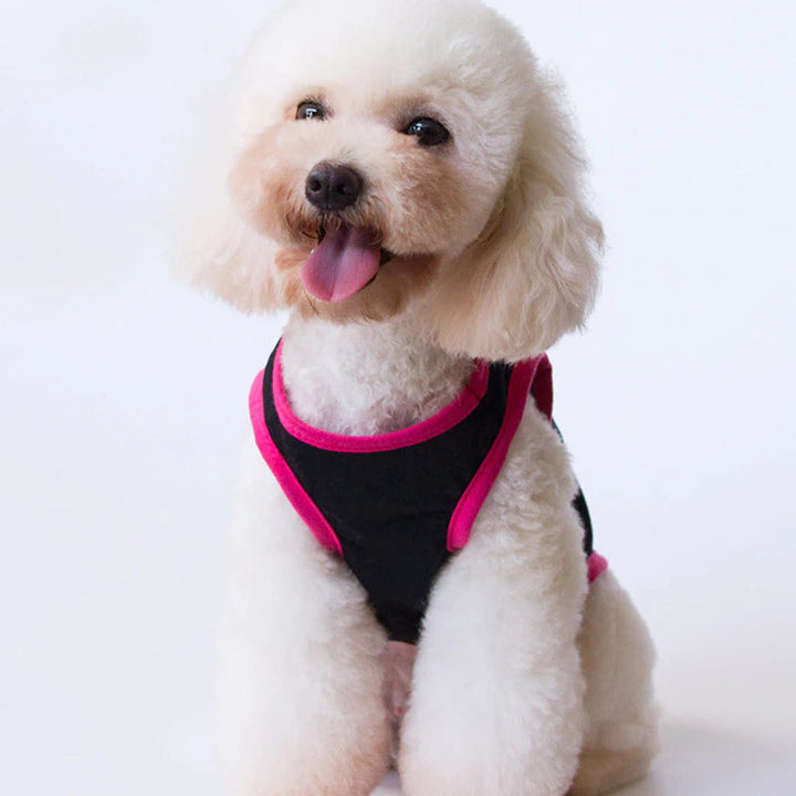 Female Dog undershirt 'Princess'