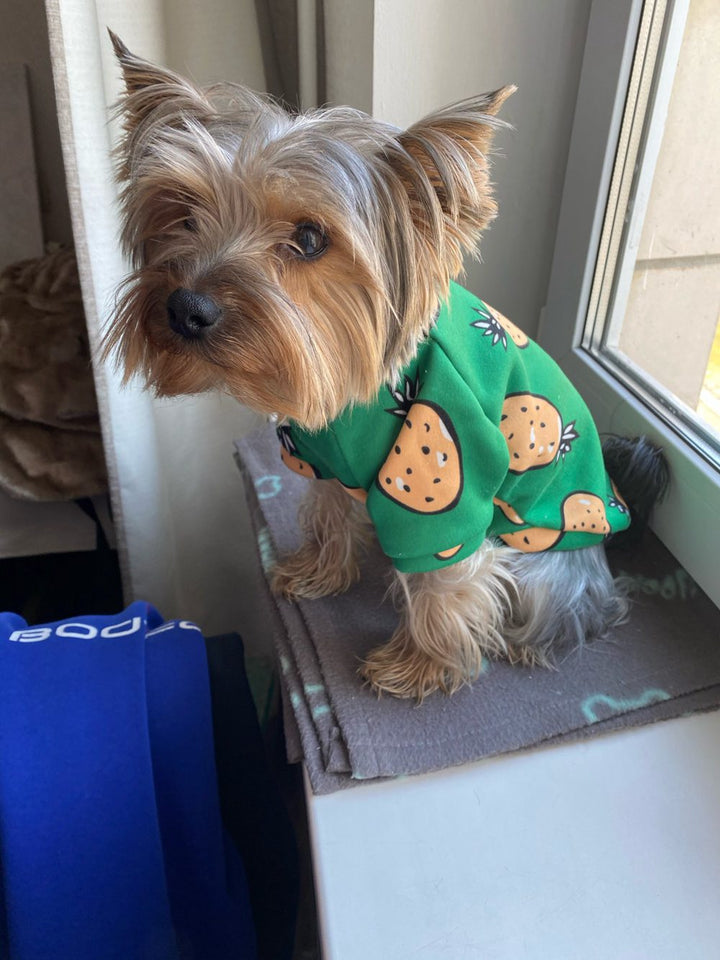 Dog Cartoon Sweater