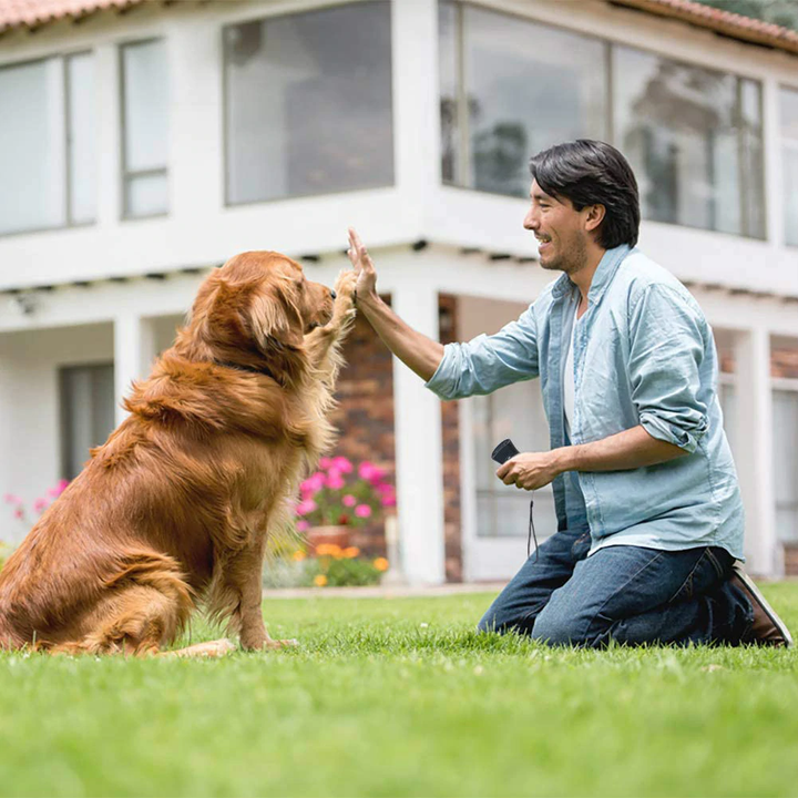 3 in 1 Anti Barking Dog Training Whistle