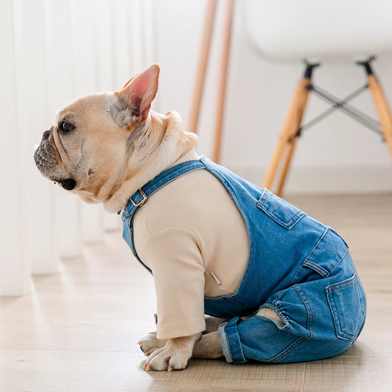 Dog Jeans Overall