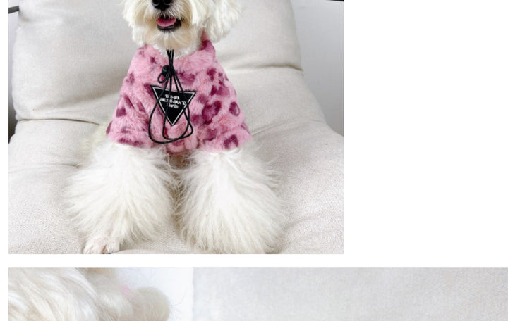 Teddy Cotton Dog Hoodie