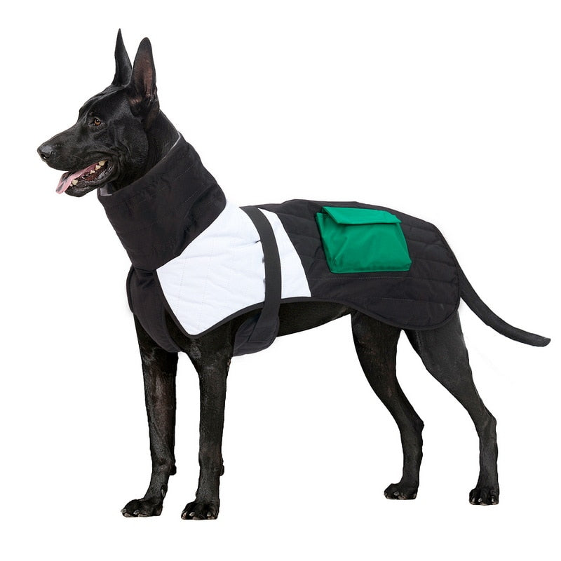 Waterproof Dog Jacket