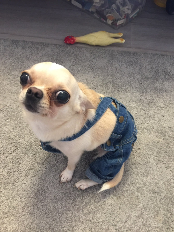 Dog Cowboy Overall Vest