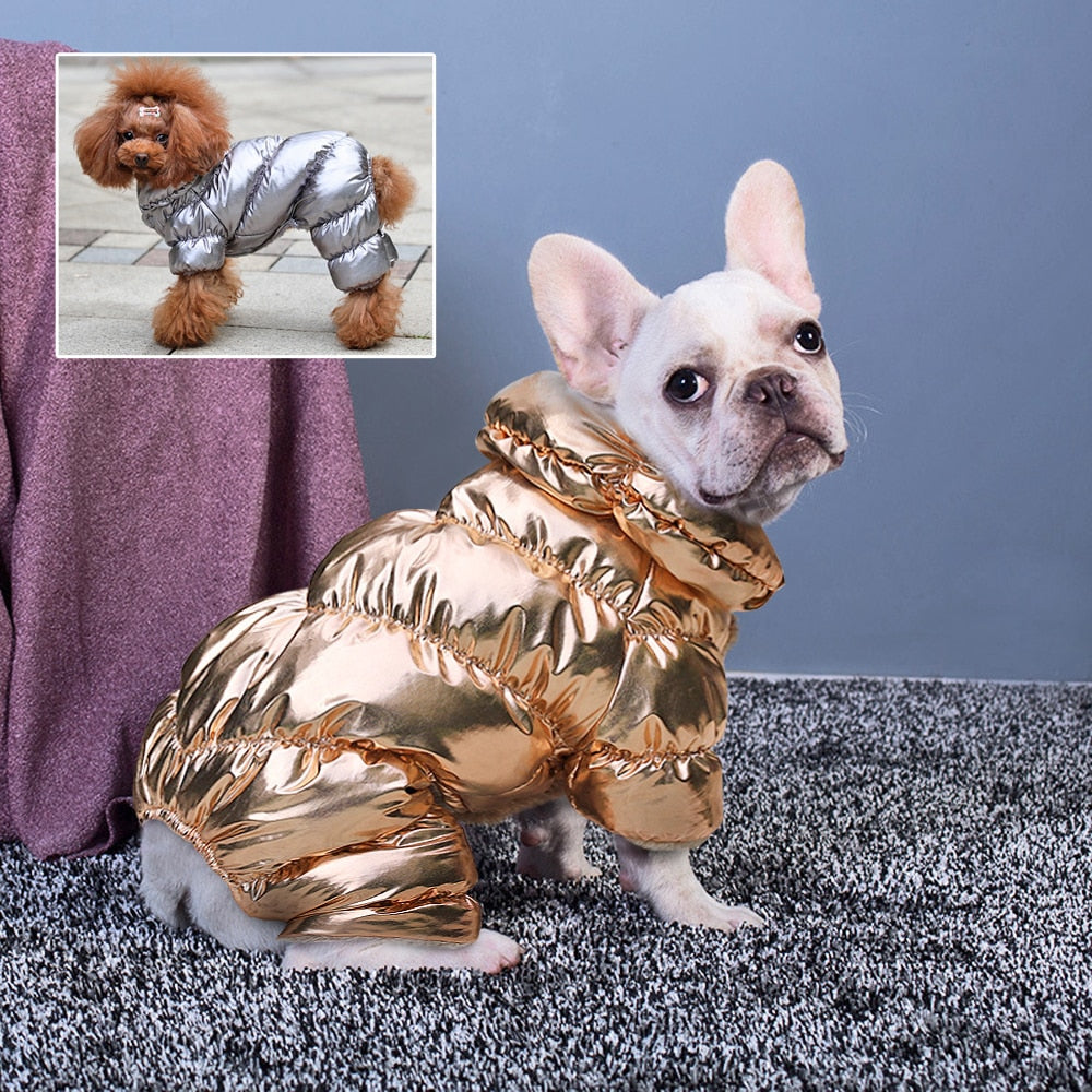 Warm & Shiny Jacket for Dogs