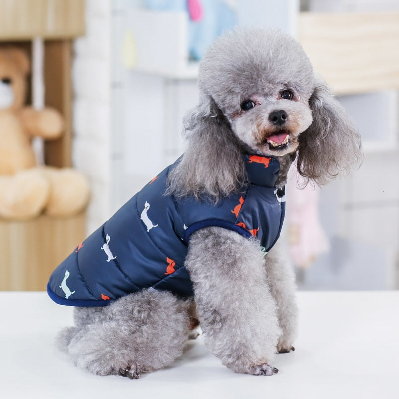 Winter Jackets For Dogs