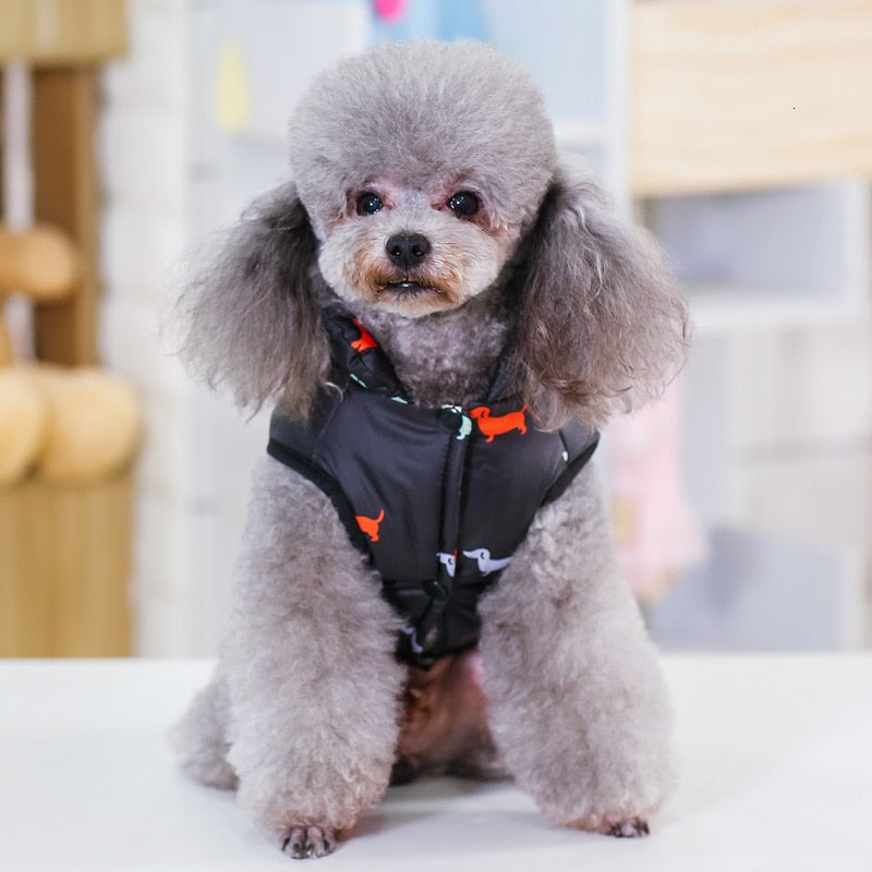 Winter Jackets For Dogs