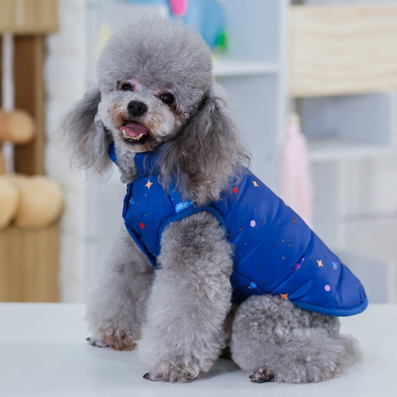 Winter Jackets For Dogs