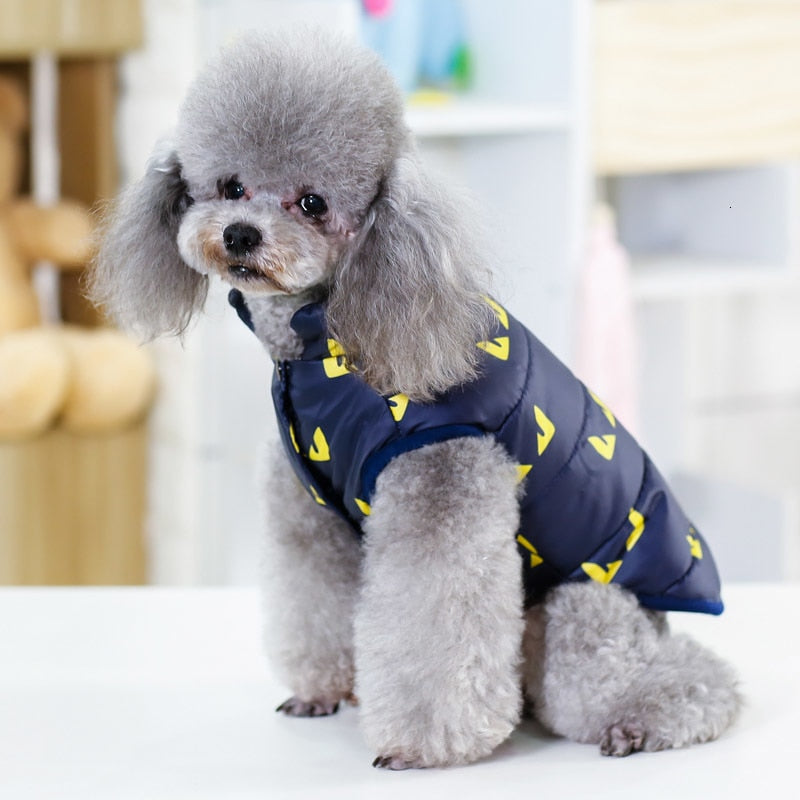 Winter Jackets For Dogs