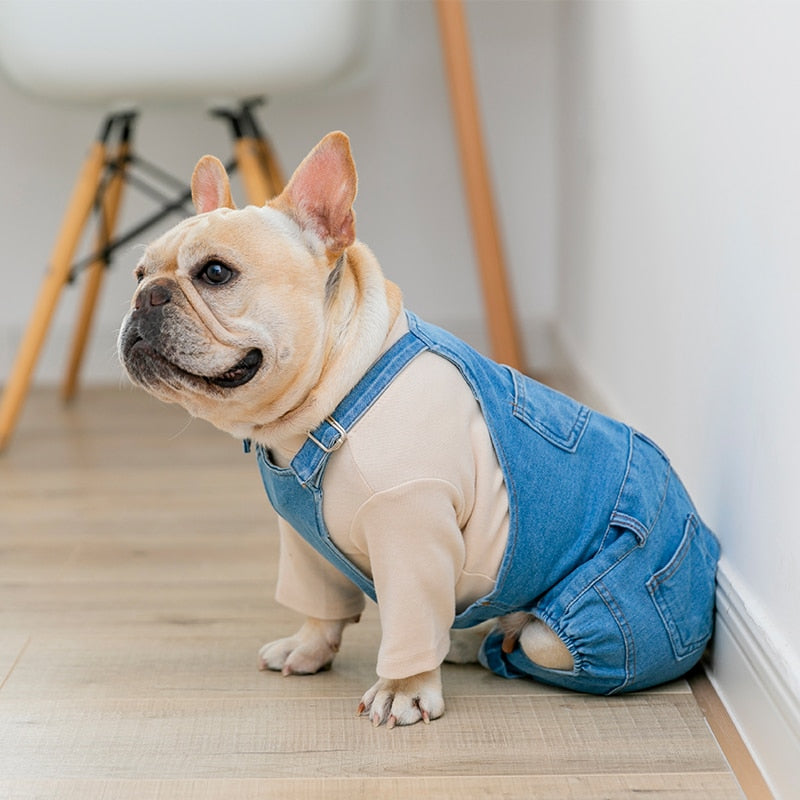 Dog Jeans Overall