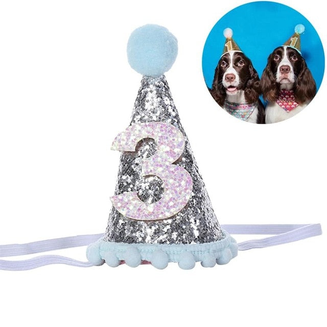 Decorative Shiny Birthday Hat for Dogs Cats