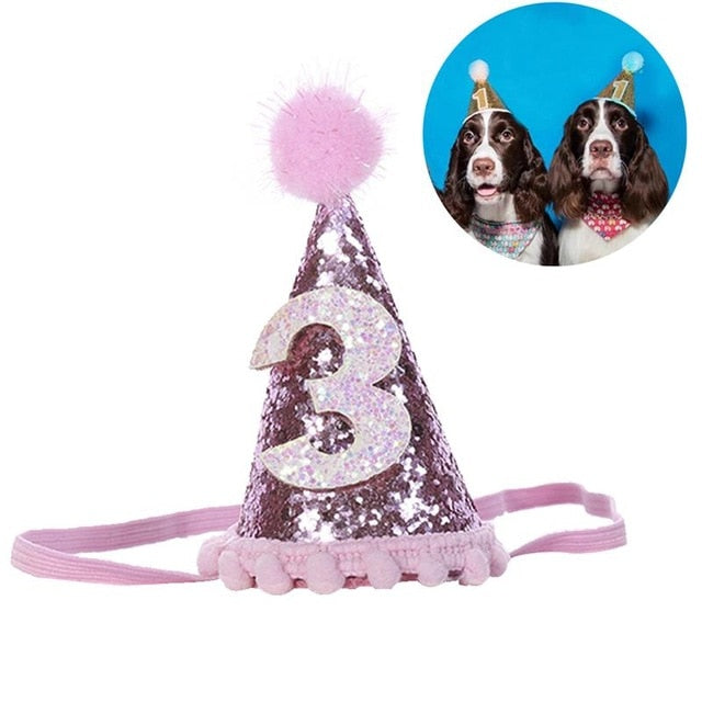 Decorative Shiny Birthday Hat for Dogs Cats