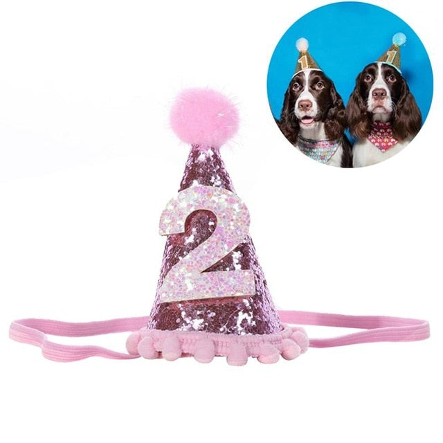 Decorative Shiny Birthday Hat for Dogs Cats