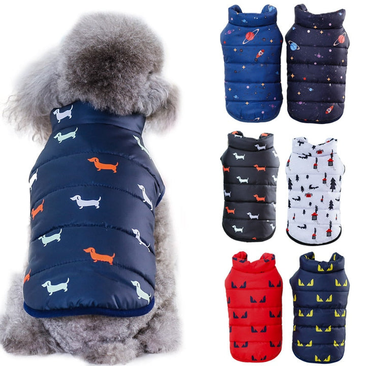 Winter Jackets For Dogs