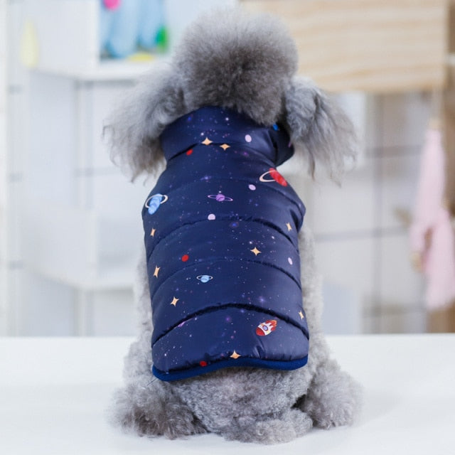 Winter Jackets For Dogs