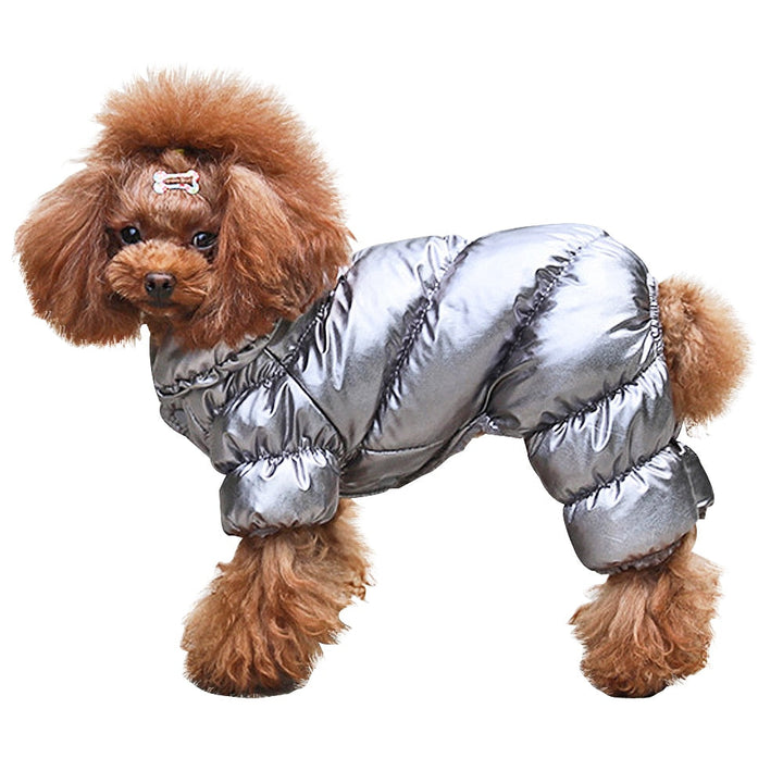 Warm & Shiny Jacket for Dogs