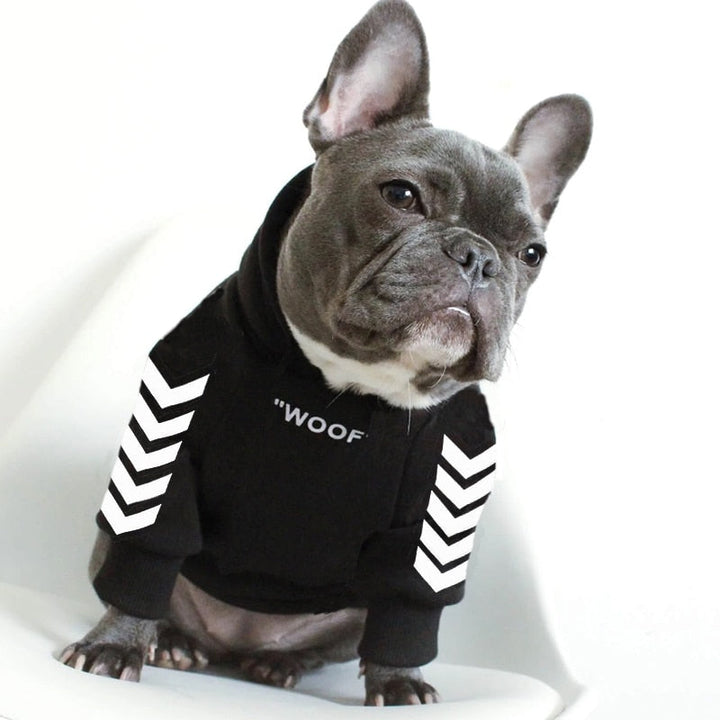 Winter Fashion Dog Hoodie