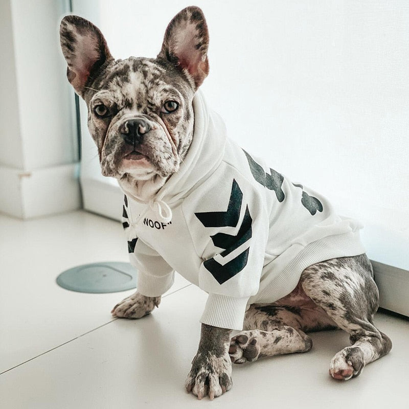 Winter Fashion Dog Hoodie