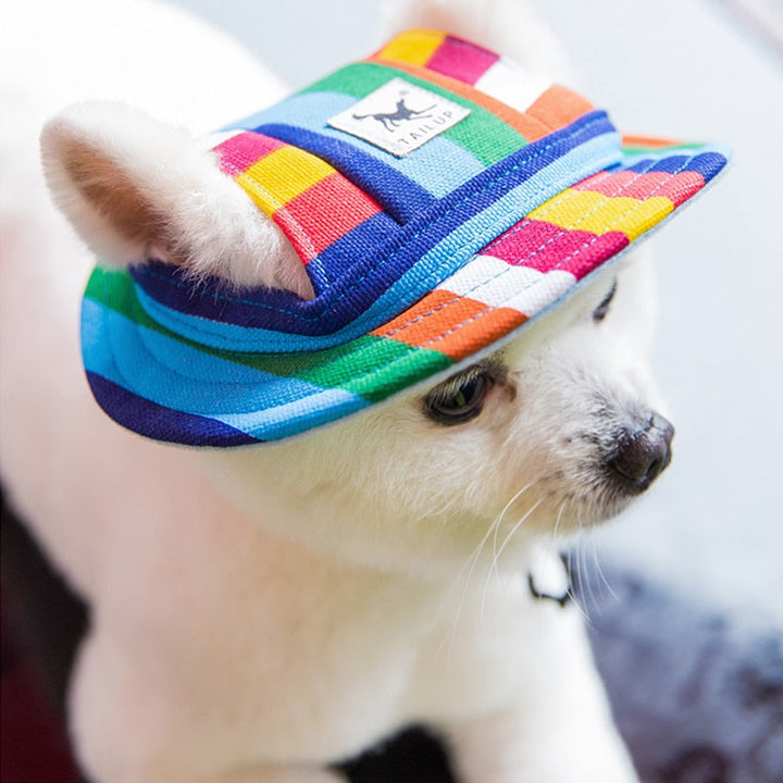 Small Puppy Cap with Ear Holes