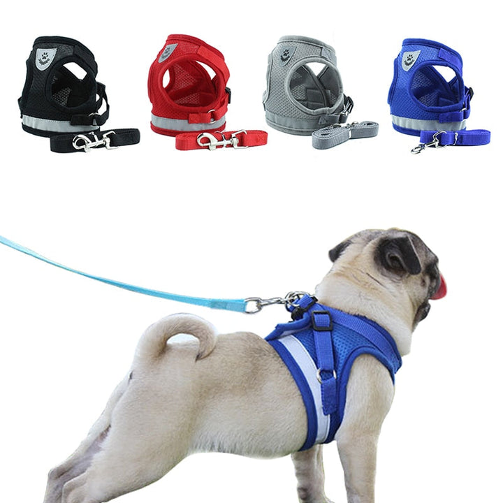 Adjustable Harness with Leash for Small Medium Dog