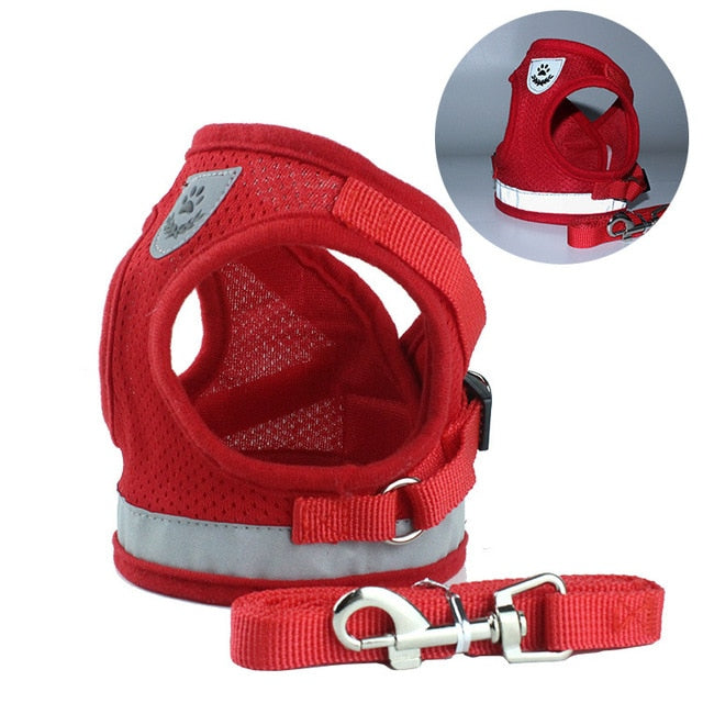 Adjustable Harness with Leash for Small Medium Dog