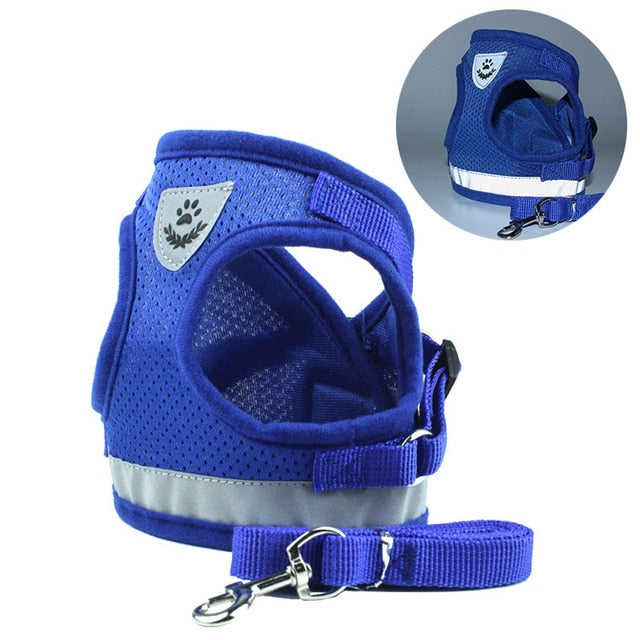 Adjustable Harness with Leash for Small Medium Dog