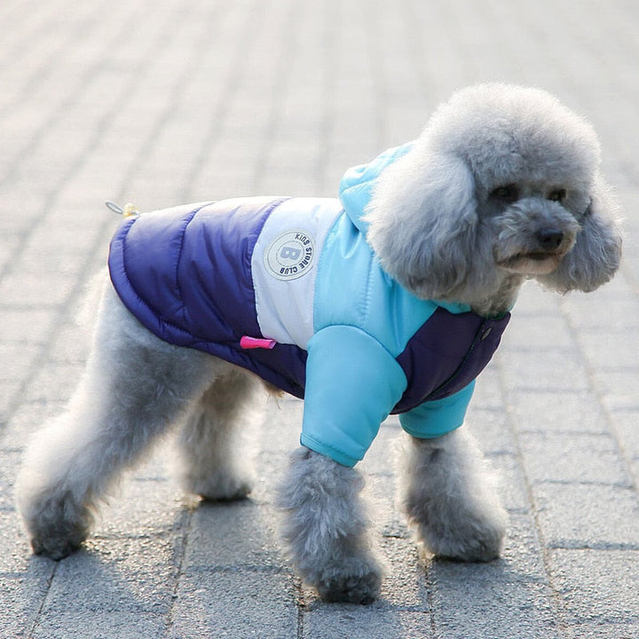 Waterproof Dog Jacket (Hoodie Style)