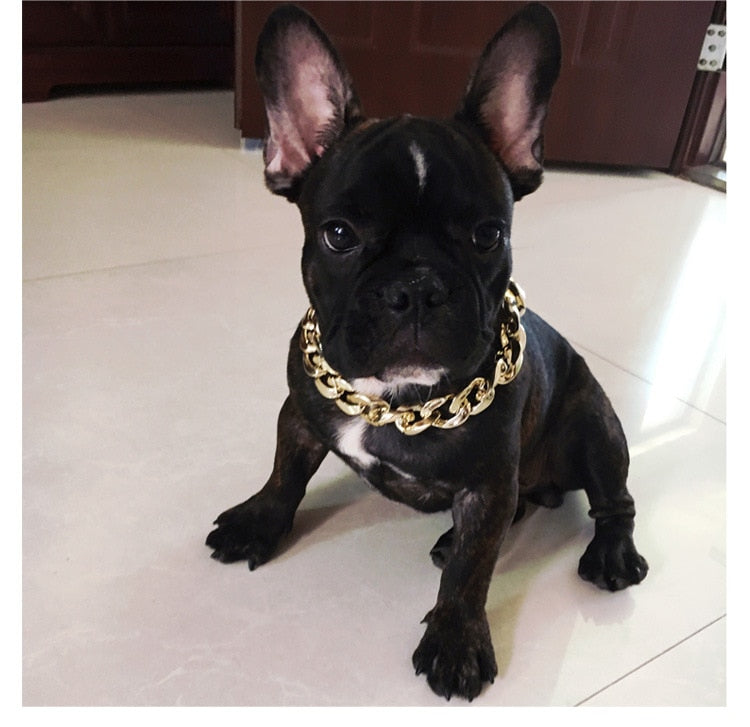 Gold Dog Chain