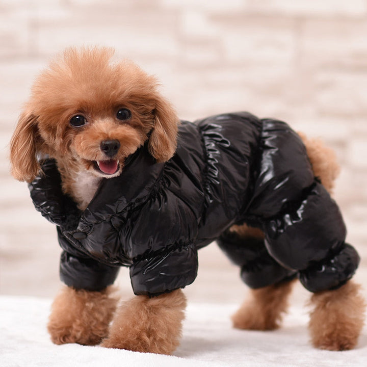 Warm & Shiny Jacket for Dogs