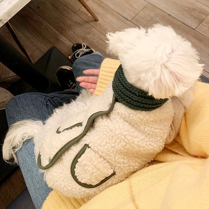 Cotton Plush Coat For Dog with Scarf