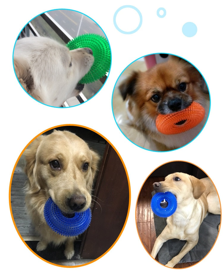 Cleaning teeth toy for dogs