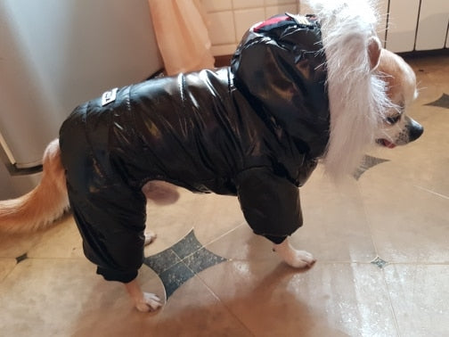 Waterproof Winter Dog Jumpsuit