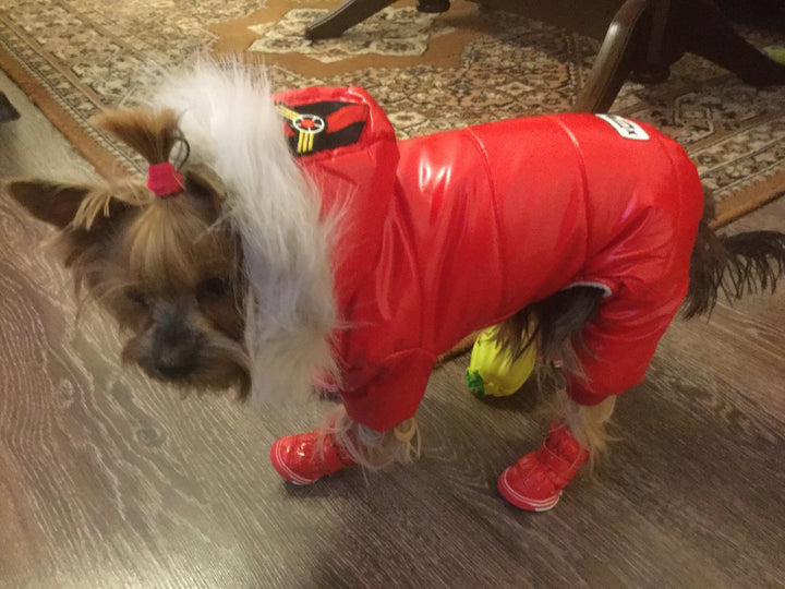 Waterproof Winter Dog Jumpsuit