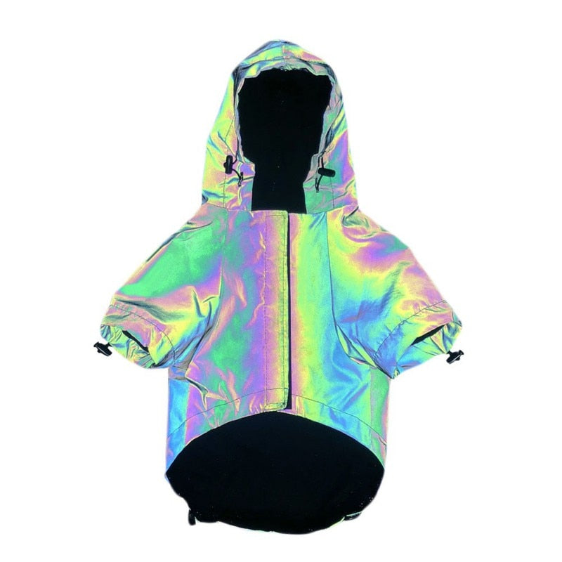 Rainbow Dog Hoodie