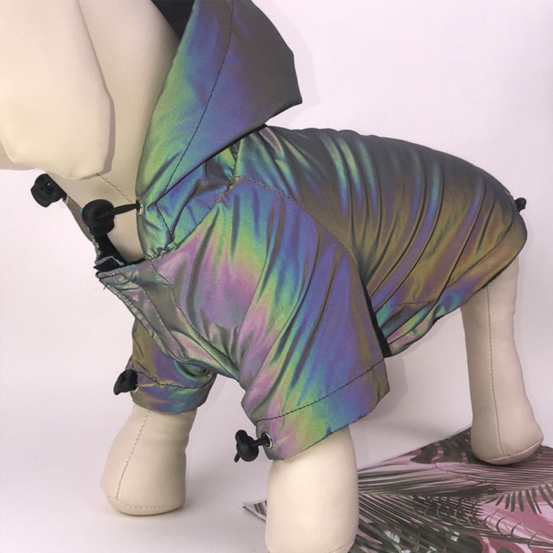 Rainbow Dog Hoodie