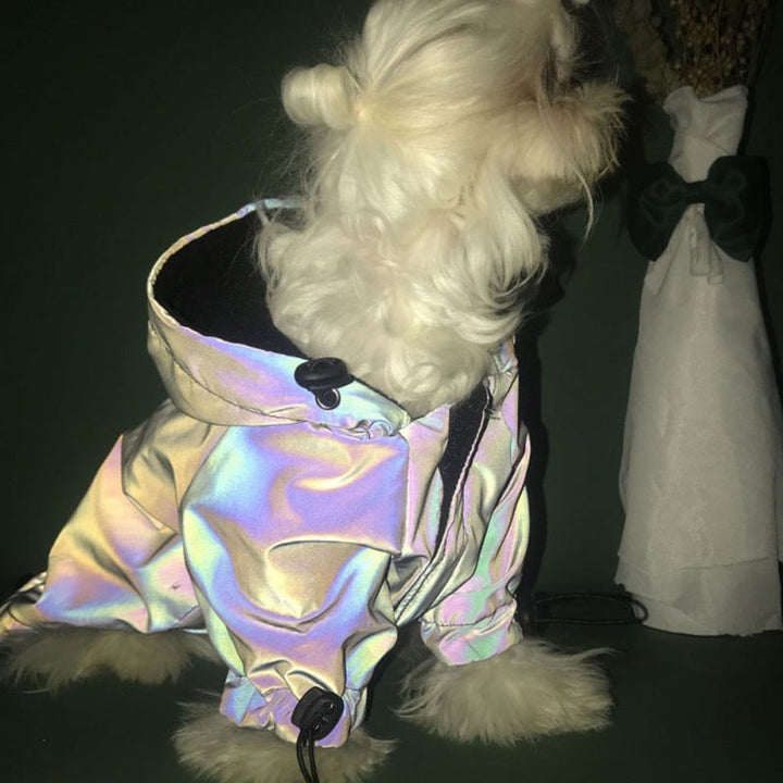 Rainbow Dog Hoodie