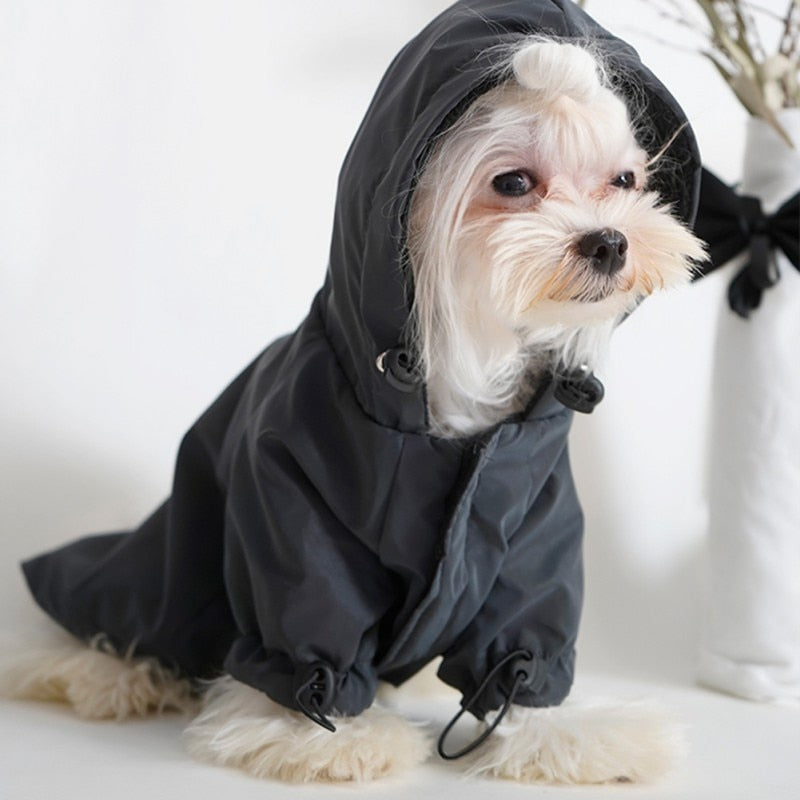 Rainbow Dog Hoodie