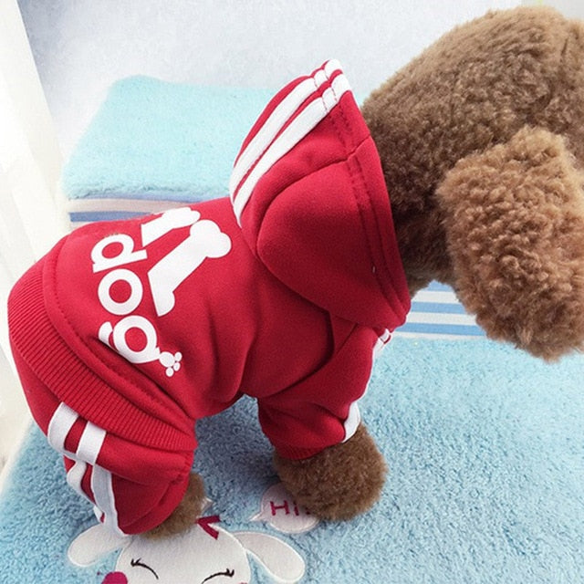 Puppy 'Adidog' suit