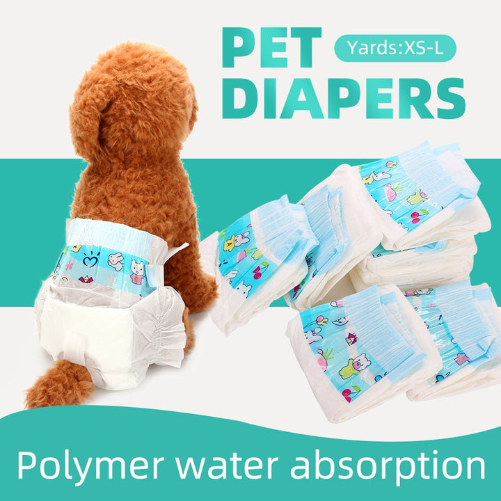 Dog Physiological Diapers