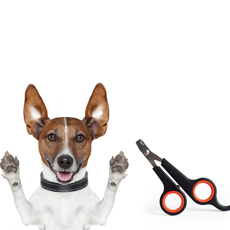 Small Pet Clipper